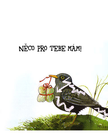 Něco pro tebe mám