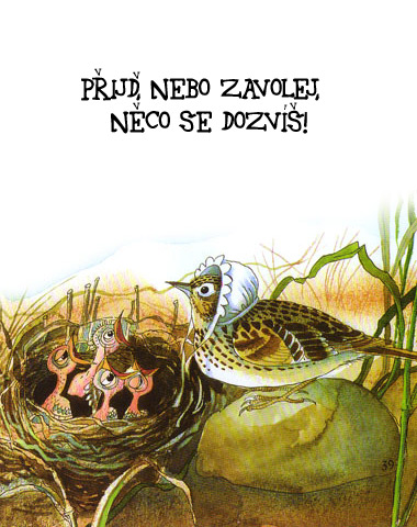 Přijď nebo zavolej